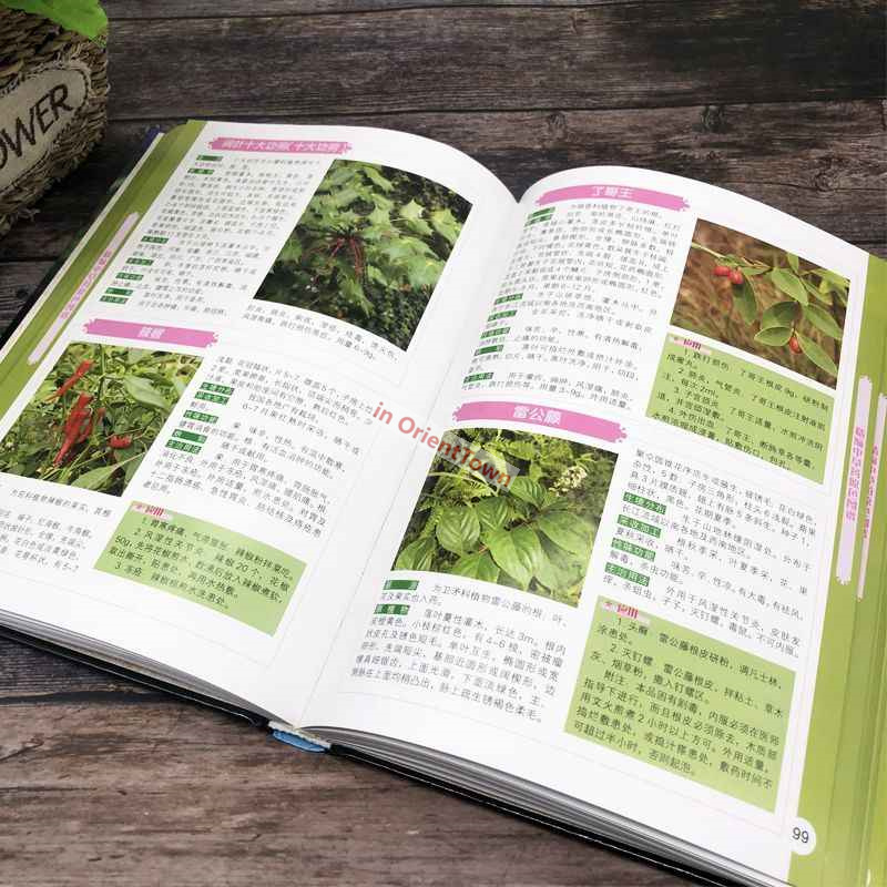 400 Common Herbal Plants Flavo - Herbal Wellness Book avaliação e preço