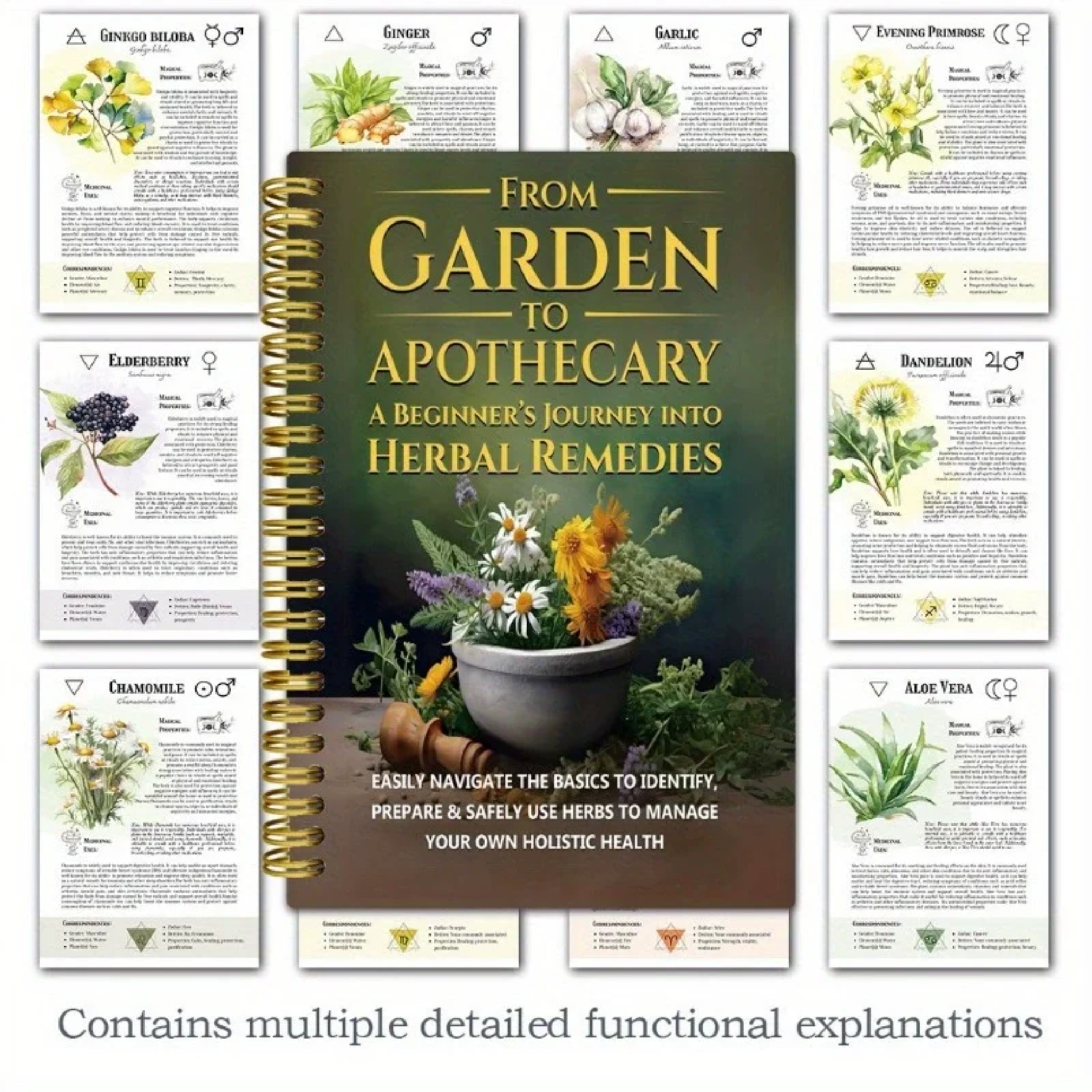 From Garden To Apothecary A Be - Herbal Wellness Book avaliação e preço